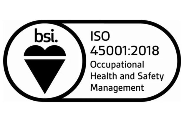 BSI occupational health and safety management