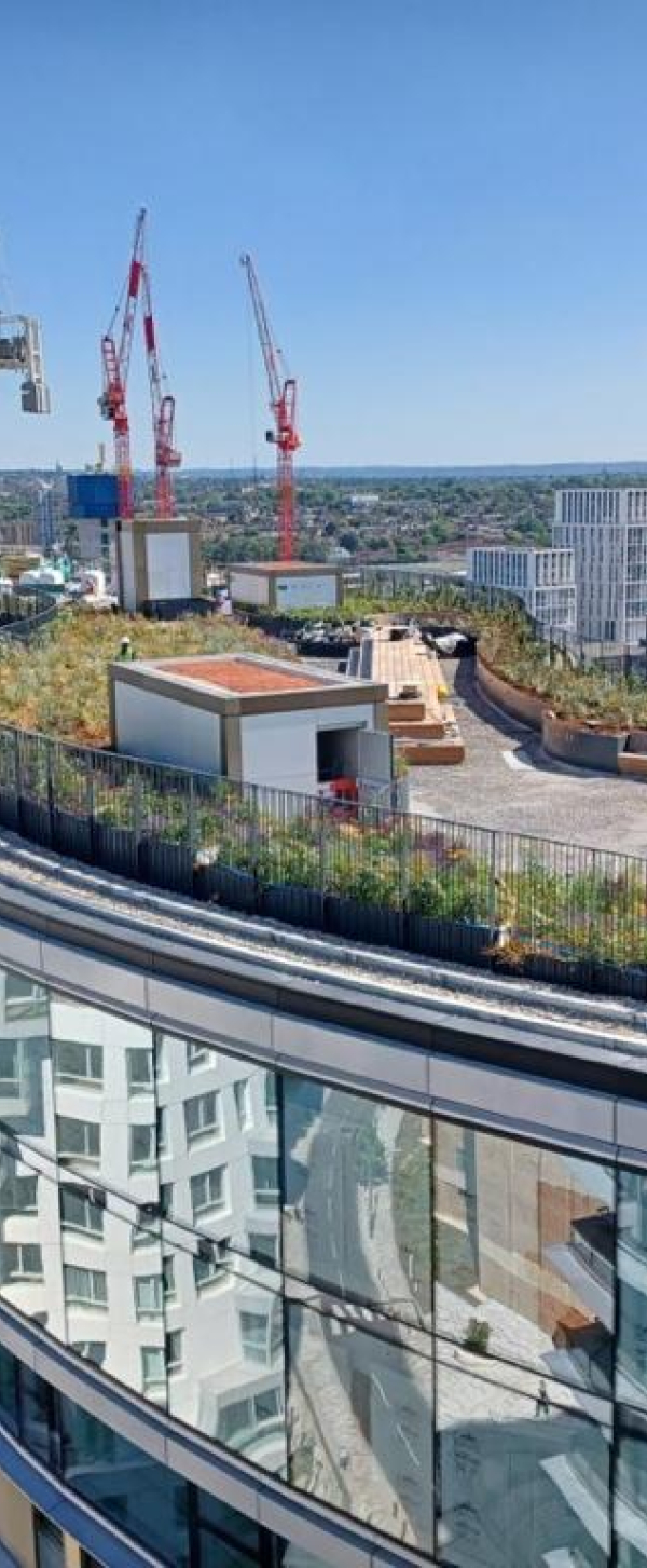 Prospect Place, Battersea