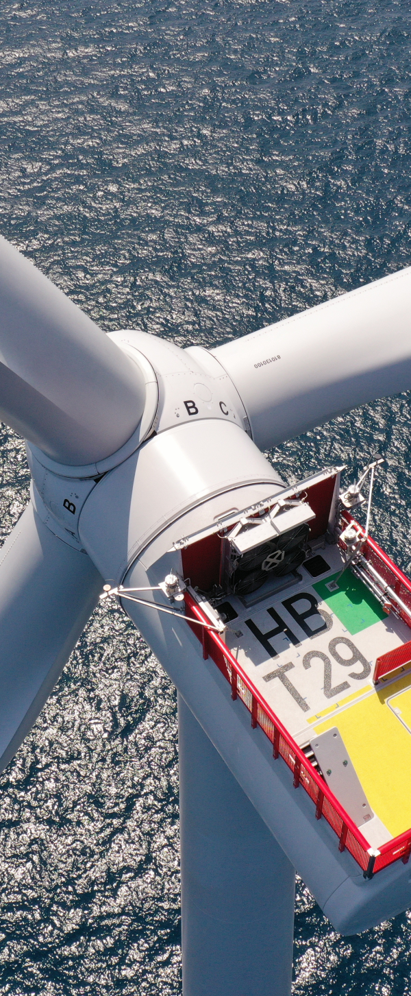 MicrosoftTeams-image (1).png