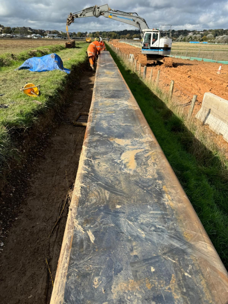 Picture of piling in a ditch.