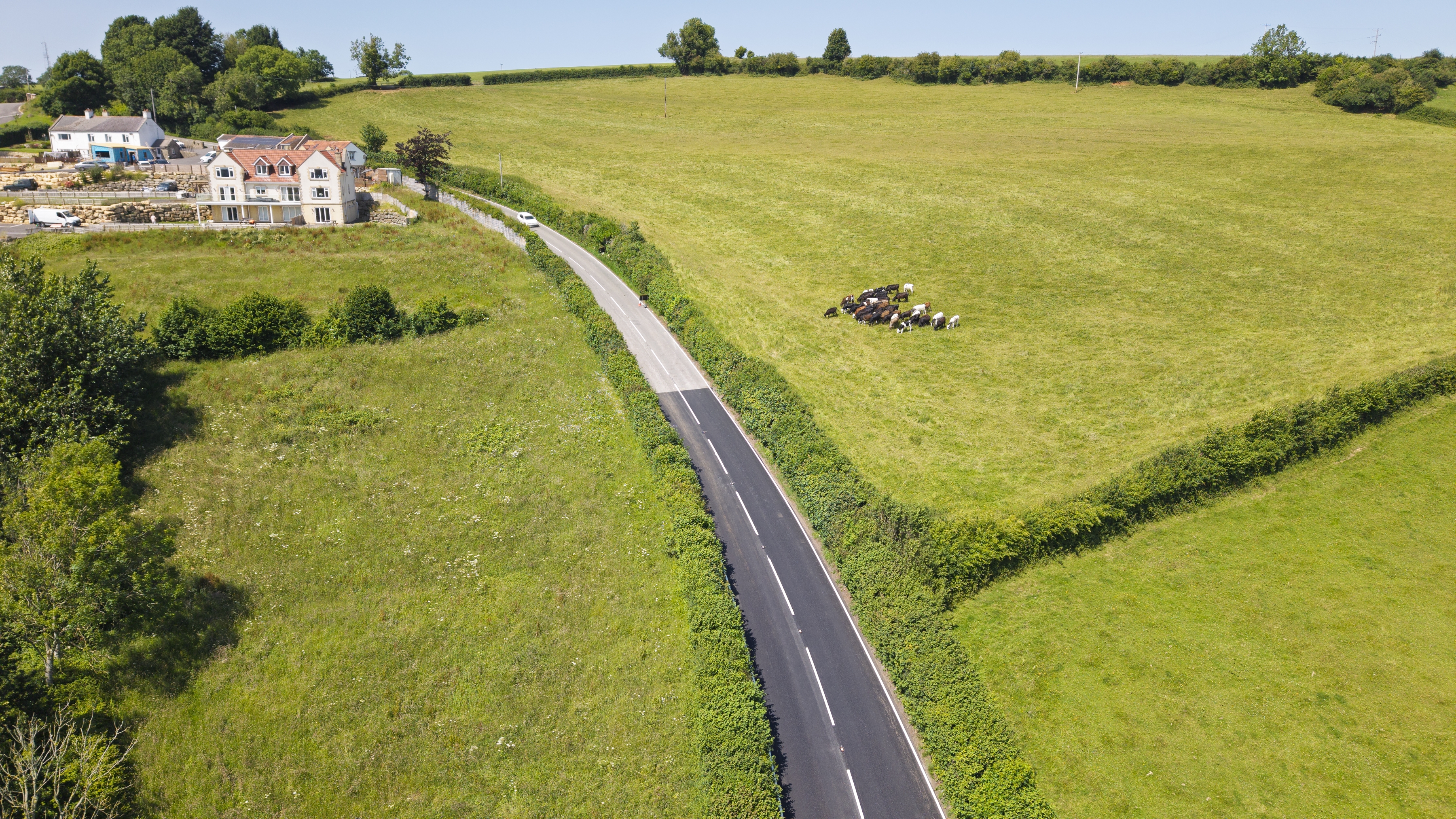Road between fields