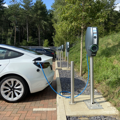 World EV day .JPG