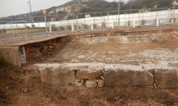 Wellington cut 2